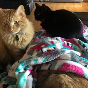 Meet your Posher, Mariah